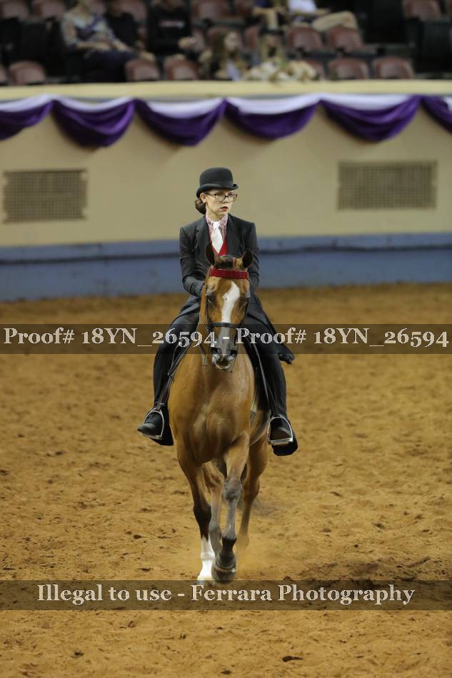 Proof 18YN_26594