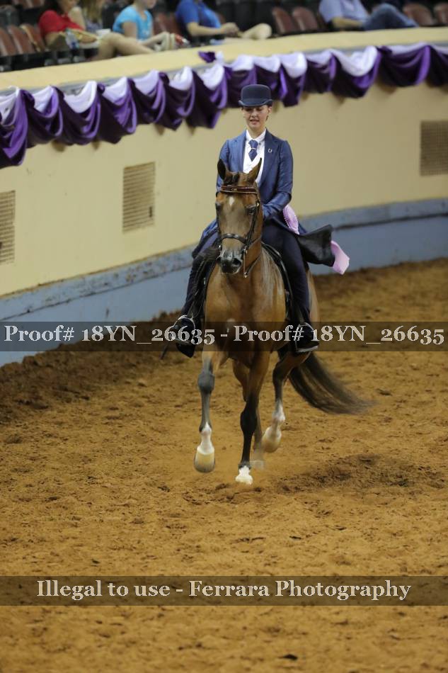 Proof 18YN_26635