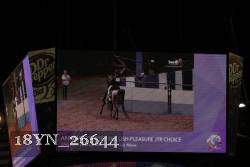 18YN_26644 proof
