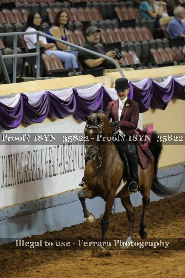 Proof 18YN_35822