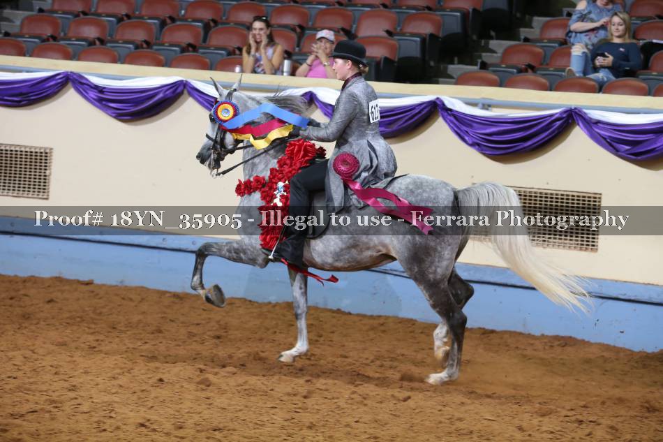 Proof 18YN_35905