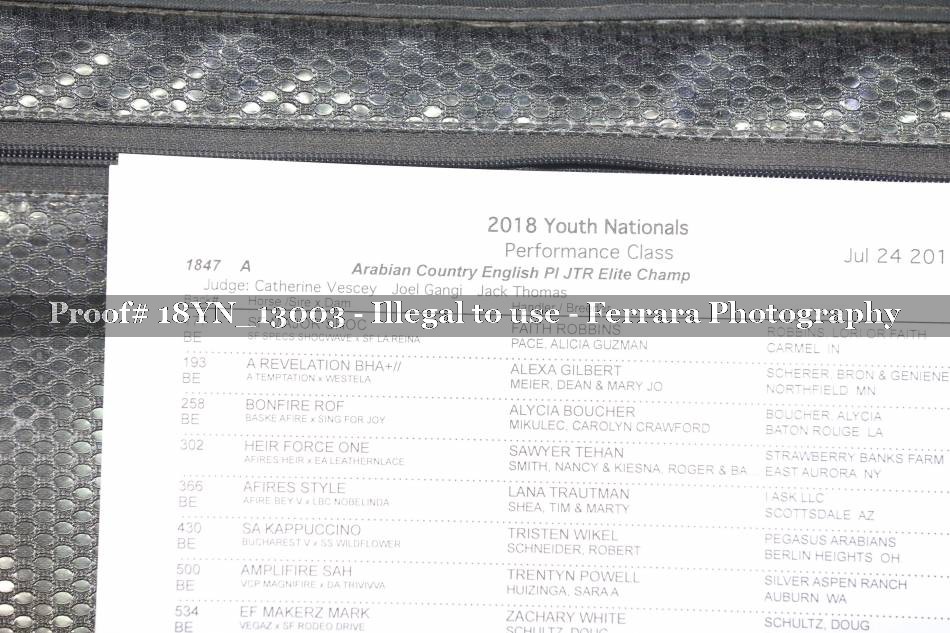 Proof 18YN_13003
