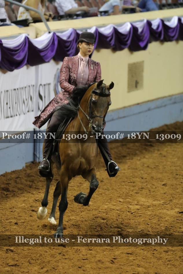 Proof 18YN_13009
