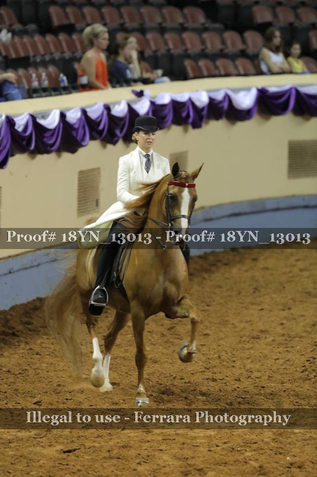 Proof 18YN_13013