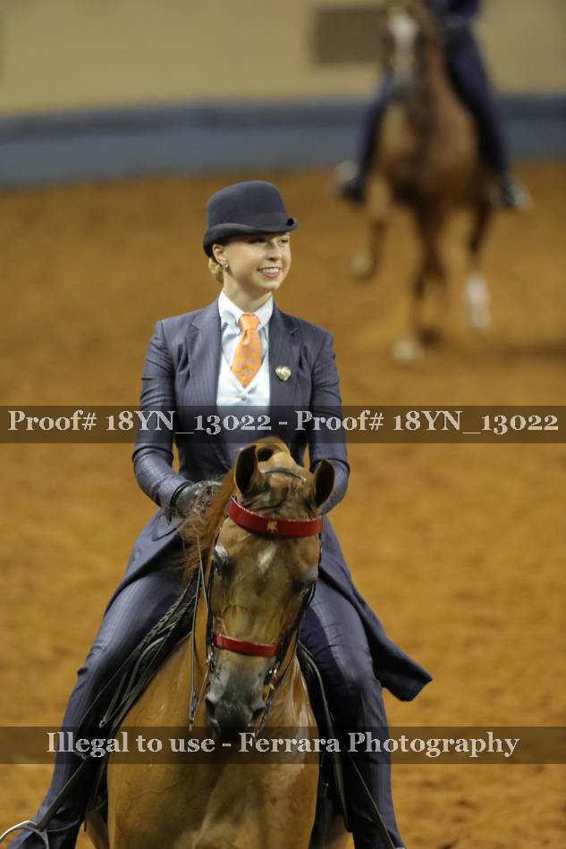 Proof 18YN_13022