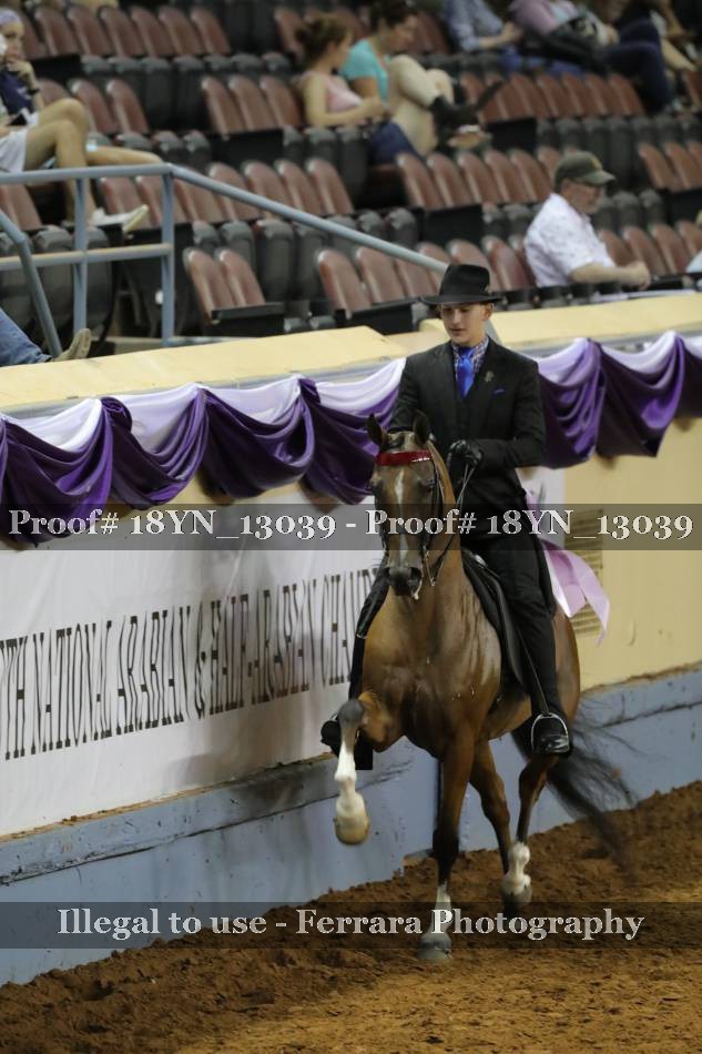 Proof 18YN_13039