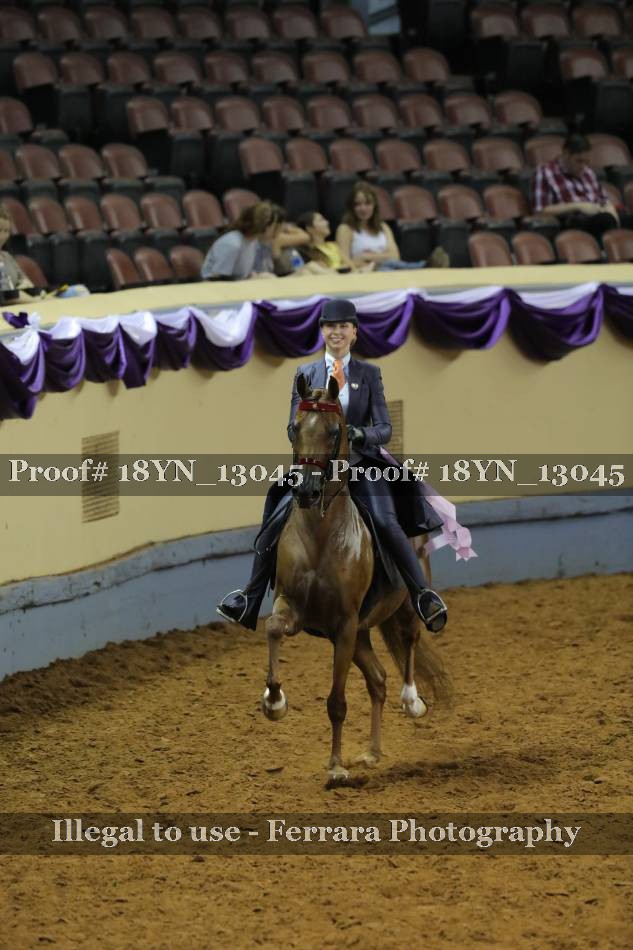Proof 18YN_13045