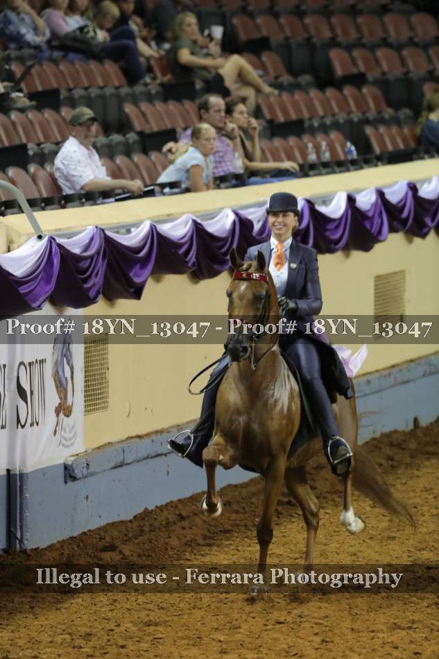 Proof 18YN_13047