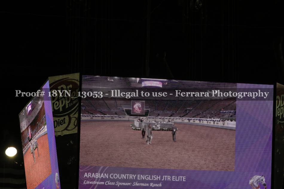 Proof 18YN_13053