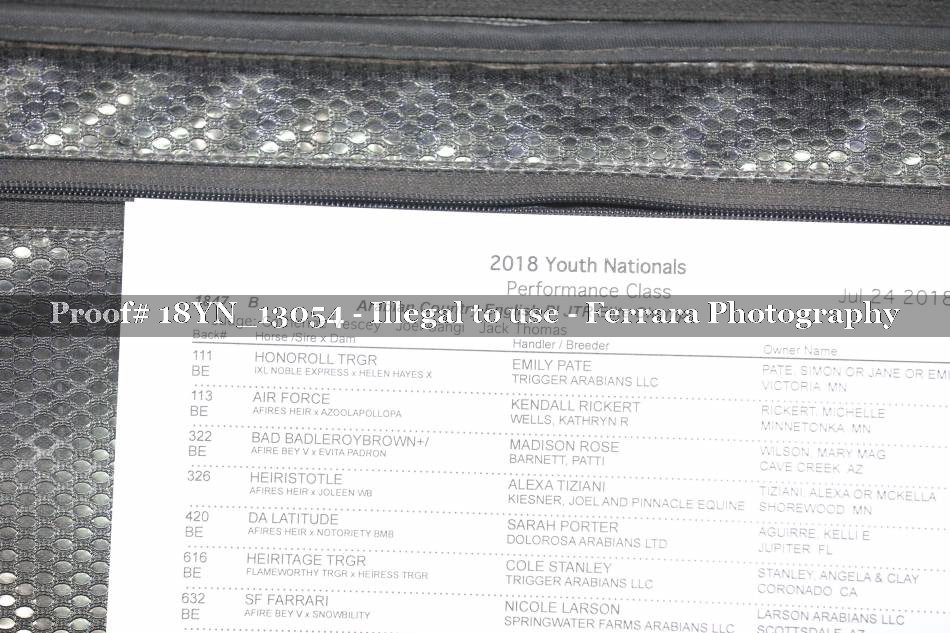 Proof 18YN_13054