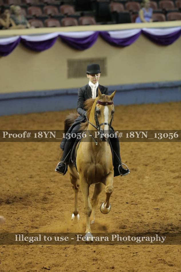 Proof 18YN_13056