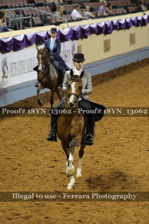 Proof 18YN_13062