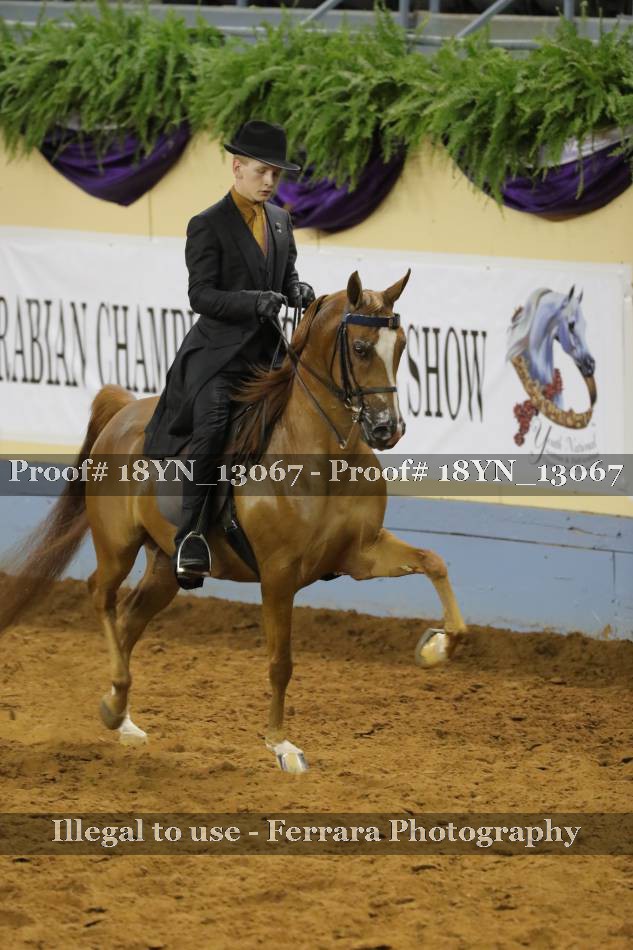Proof 18YN_13067