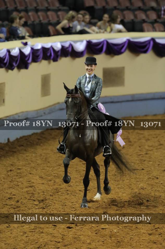 Proof 18YN_13071