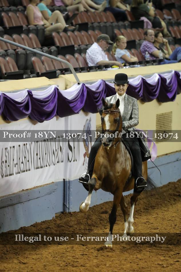 Proof 18YN_13074