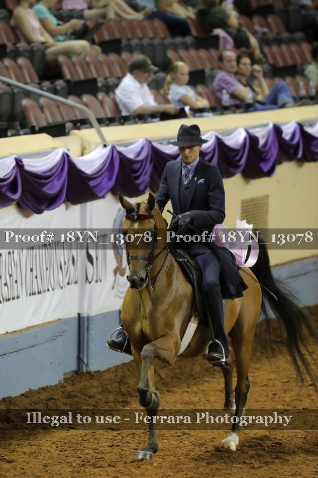 Proof 18YN_13078