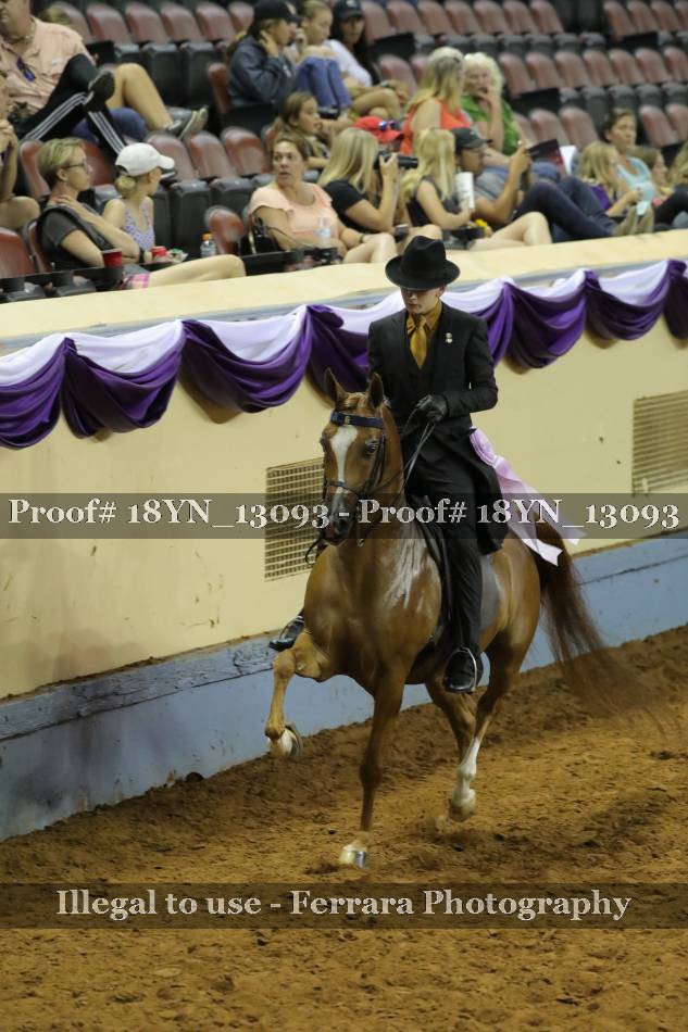 Proof 18YN_13093