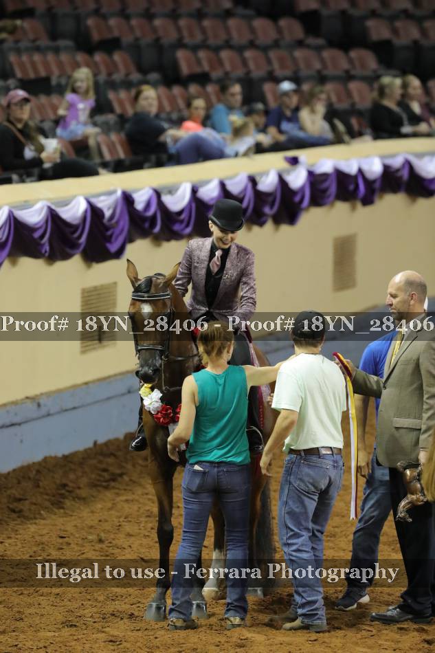 Proof 18YN_28406