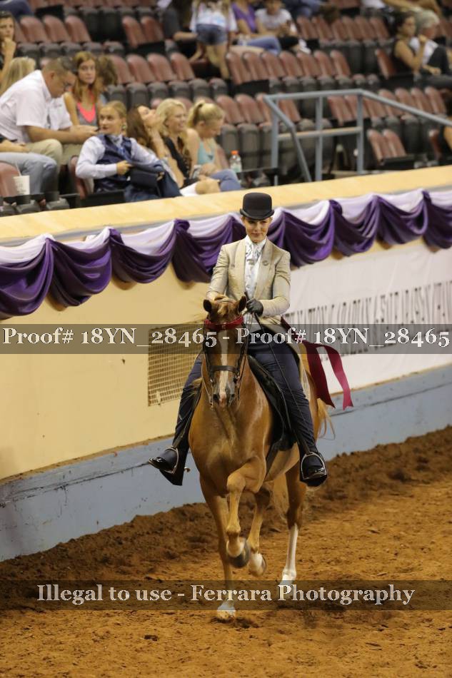 Proof 18YN_28465