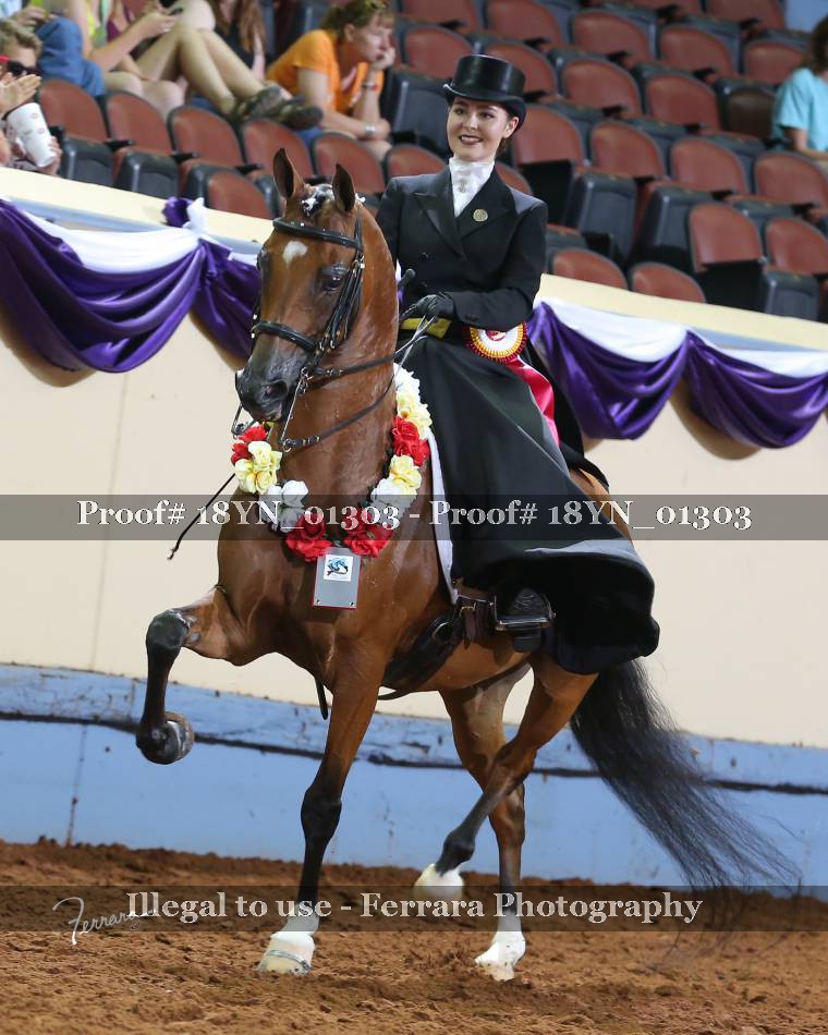 Proof 18YN_01303