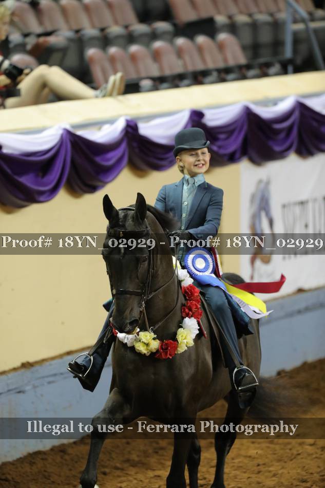 Proof 18YN_02929
