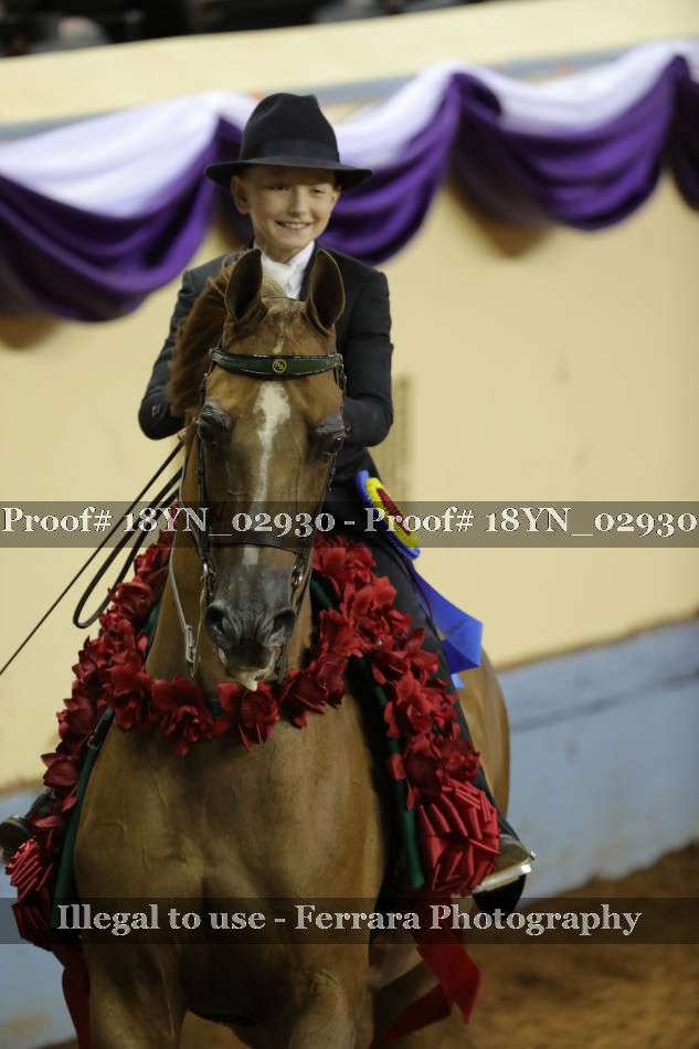 Proof 18YN_02930