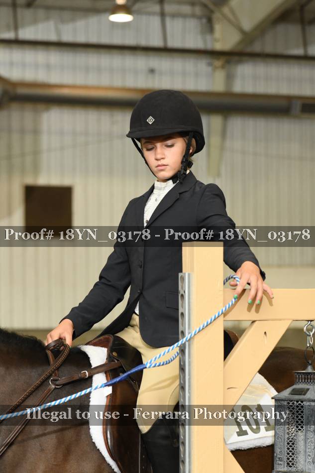 Proof 18YN_03178