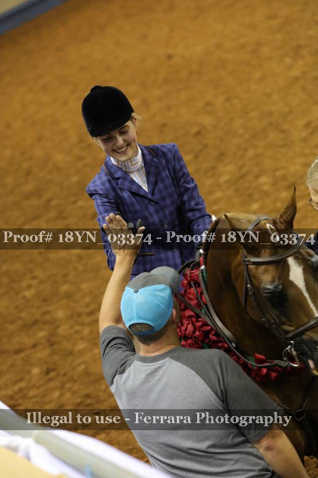 Proof 18YN_03374