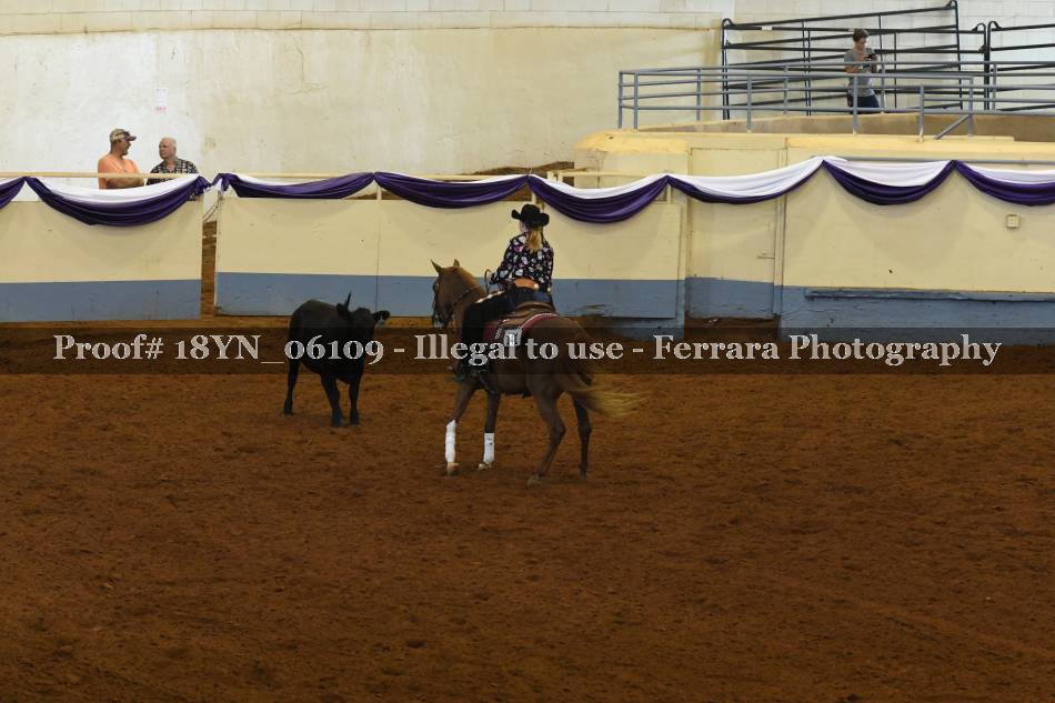 Proof 18YN_06109