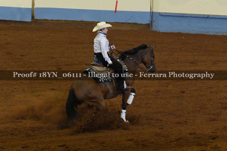 Proof 18YN_06111
