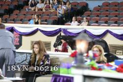 18YN_06216 proof