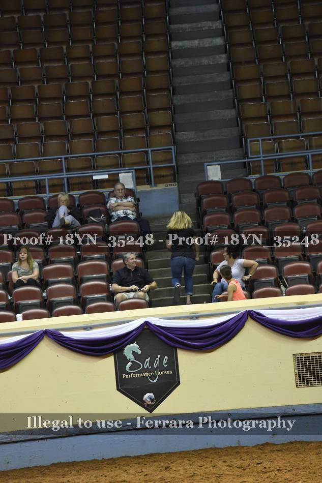 Proof 18YN_35248