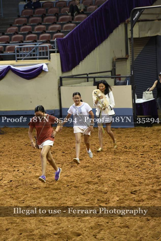 Proof 18YN_35294