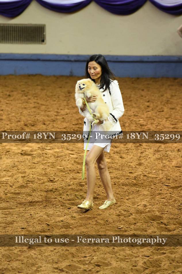 Proof 18YN_35299