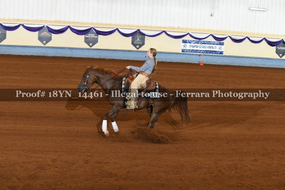 Proof 18YN_14461