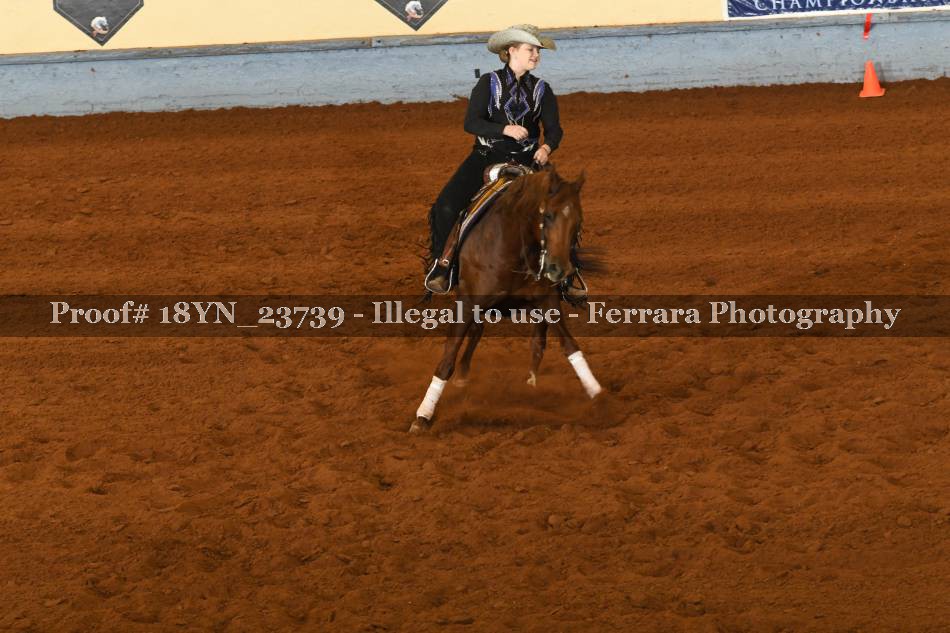 Proof 18YN_23739