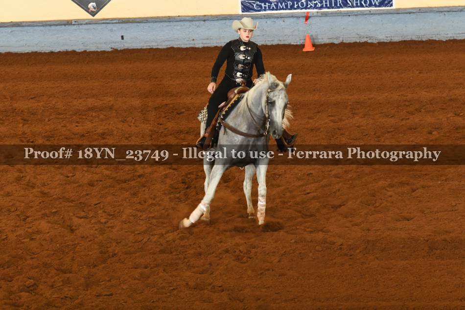 Proof 18YN_23749