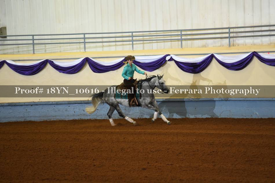 Proof 18YN_10616