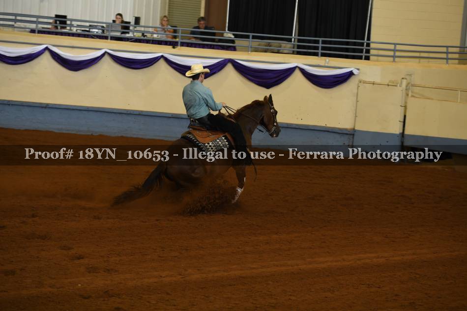 Proof 18YN_10653
