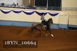18YN_10664 proof