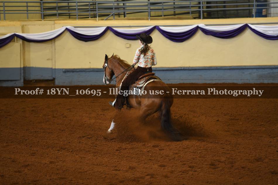 Proof 18YN_10695