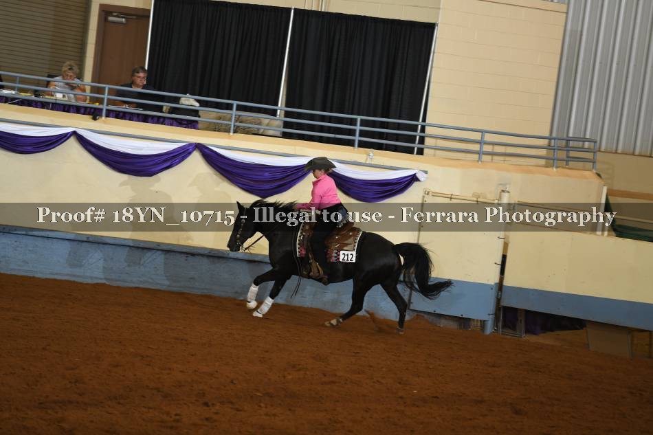 Proof 18YN_10715