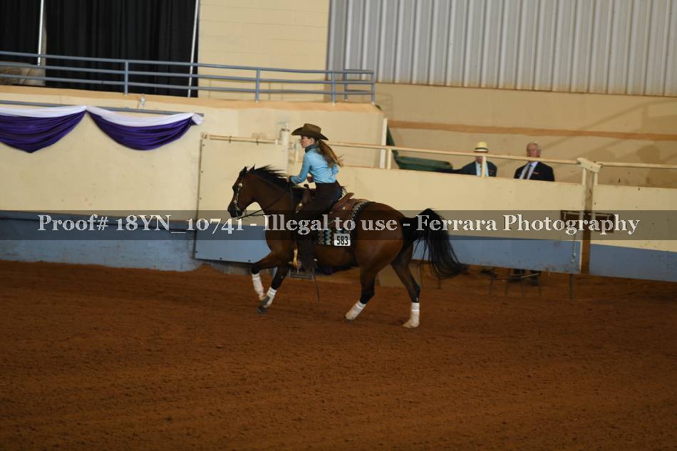 Proof 18YN_10741