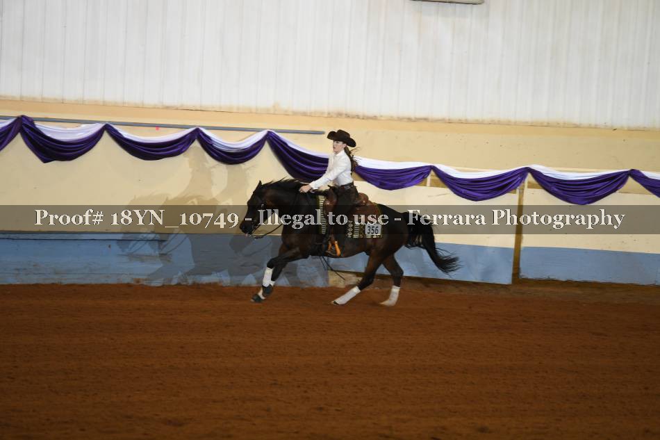 Proof 18YN_10749