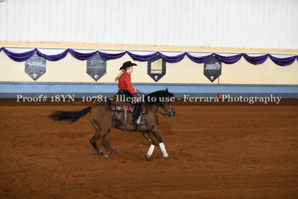 Proof 18YN_10781