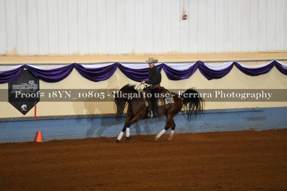 Proof 18YN_10805