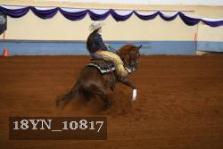 18YN_10817 proof