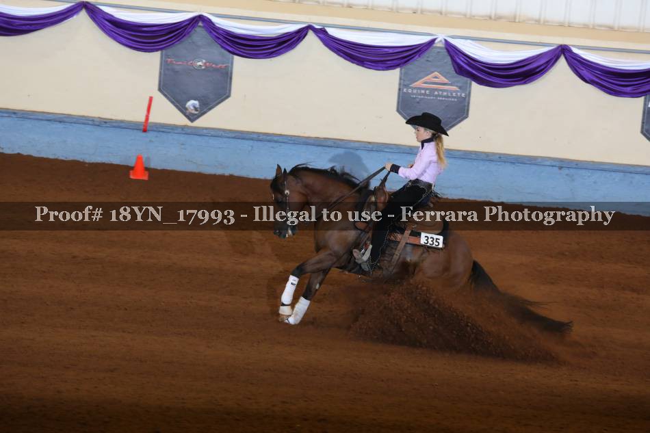 Proof 18YN_17993