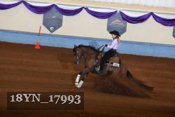 18YN_17993 proof