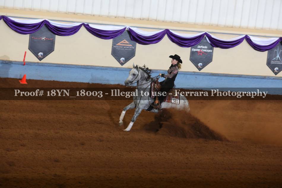 Proof 18YN_18003